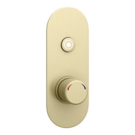 Arezzo Brushed Brass Industrial Style 1-Touch Shower Valve (1 Outlet) Medium Image