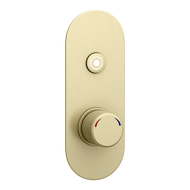 Arezzo Brushed Brass Industrial Style 1-Touch Shower Valve (1 Outlet)  Profile Large Image