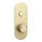 Arezzo Brushed Brass Industrial Style 1-Touch Shower Valve (1 Outlet) Large Image