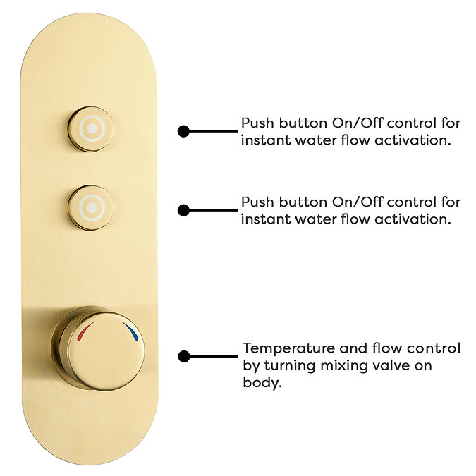 Arezzo Brushed Brass Industrial Style Push Button Shower Valve (2 Outlets)  Standard Large Image