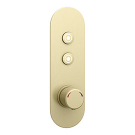 Arezzo Brushed Brass Industrial Style Push Button Shower Valve (2 Outlets) Medium Image