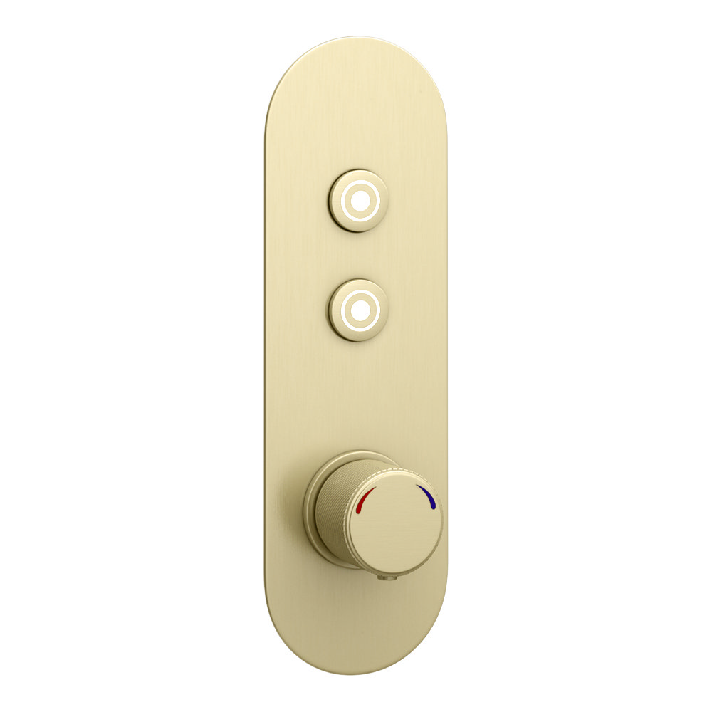 Arezzo Brushed Brass Industrial Style Push Button Shower Valve 2