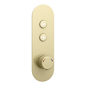 Arezzo Brushed Brass Industrial Style Push Button Shower Valve (2 Outlets) Large Image