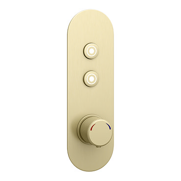 Arezzo Brushed Brass Industrial Style Push Button Shower Valve (2 Outlets)  Profile Large Image