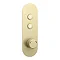 Arezzo Brushed Brass Industrial Style Push Button Shower Valve (2 Outlets) Large Image
