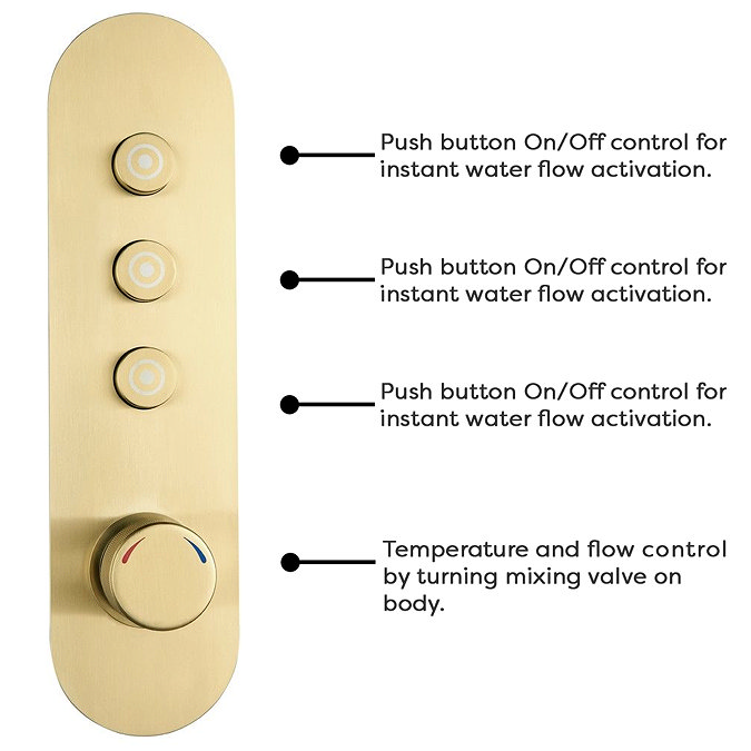 Arezzo Brushed Brass Industrial Style Push Button Shower Valve (3 Outlets)  Profile Large Image