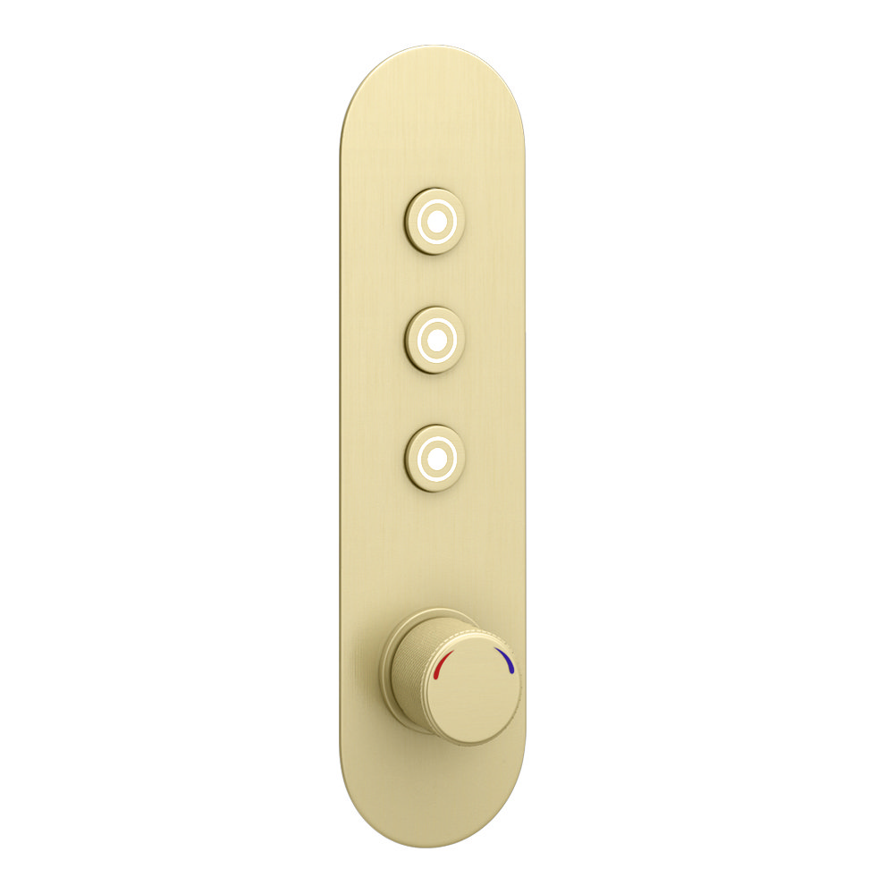 Arezzo Brushed Brass Industrial Style Push Button Shower Valve 3