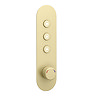 Arezzo Brushed Brass Industrial Style Push Button Shower Valve (3 Outlets) Large Image