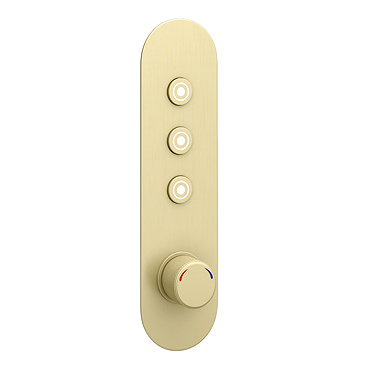 Arezzo Brushed Brass Industrial Style Push Button Shower Valve (3 Outlets)  Profile Large Image