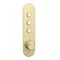 Arezzo Brushed Brass Industrial Style Push Button Shower Valve (3 Outlets) Large Image
