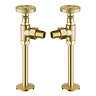Arezzo Brushed Brass Industrial Style Angled Radiator Valves Large Image