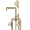 Arezzo Brushed Brass Industrial Style Freestanding Bath Shower Mixer Tap In Bathroom Large Image