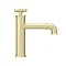 Arezzo Brushed Brass Industrial Style Mono Basin Mixer  Standard Large Image