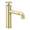 Arezzo Brushed Brass Industrial Style Mono Basin Mixer  Feature Large Image