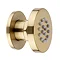 Arezzo Brushed Brass Industrial Style Push Button Shower Valve with Diverter, Handset, Fixed Shower 
