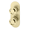 Arezzo Brushed Brass Industrial Style Round Modern Twin Concealed Shower Valve with Diverter