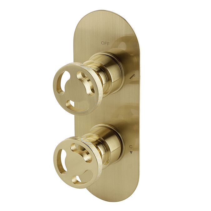 Arezzo Brushed Brass Industrial Style Round Modern Twin Concealed Shower Valve with Diverter Large I