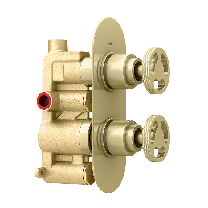Arezzo Brushed Brass Industrial Style Round Modern Twin Concealed Shower Valve  additional Large Image