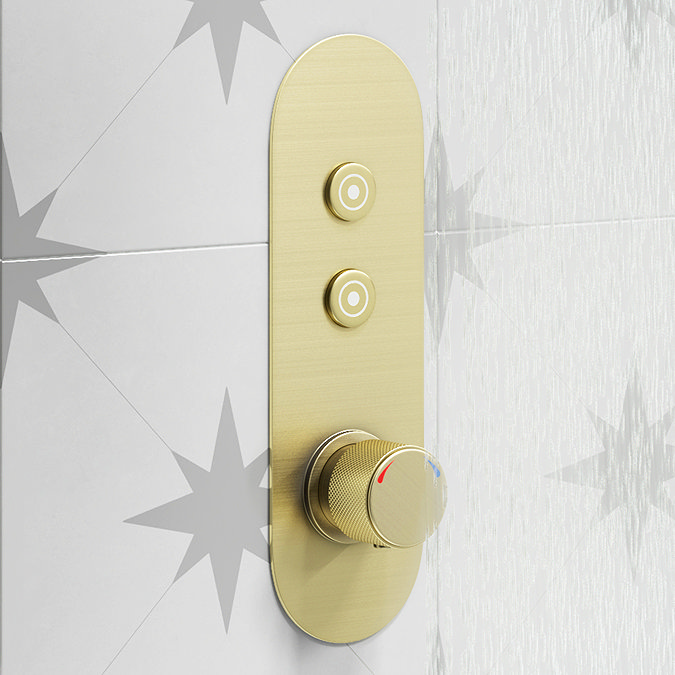 Arezzo Brushed Brass Push-Button Shower with Handset + Rainfall Shower Head  Profile Large Image
