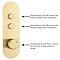 Arezzo Brushed Brass Push-Button Shower with Handset + Rainfall Shower Head  Feature Large Image