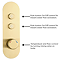 Arezzo Brushed Brass Push-Button Shower with Handset + Rainfall Shower Head Feature Large Image