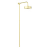 Arezzo Brushed Brass Rigid Riser Kit with 195mm Round Overhead Drench Shower Head