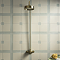 Arezzo Brushed Brass Rigid Riser Kit with 195mm Round Overhead Drench Shower Head