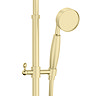 Arezzo Brushed Brass Rigid Riser Kit with Shower Head, Handshower & Diverter