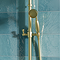 Arezzo Brushed Brass Rigid Riser Kit with Shower Head, Handshower & Diverter