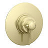 Arezzo Brushed Brass Round Concealed Dual Thermostatic Shower Valve w. 200mm Head Profile Large Ima