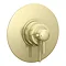 Arezzo Brushed Brass Round Concealed Dual Thermostatic Shower Valve w. 200mm Head  Profile Large Ima