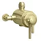 Arezzo Brushed Brass Round Concealed Dual Thermostatic Shower Valve  Profile Large Image
