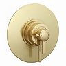 Arezzo Brushed Brass Round Concealed Dual Thermostatic Shower Valve