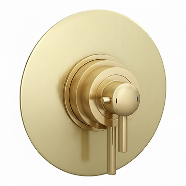 Arezzo Brushed Brass Round Concealed Dual Thermostatic Shower Valve  Feature Large Image