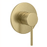 Arezzo Brushed Brass Round Concealed Manual Shower Valve