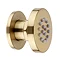 Arezzo Brushed Brass Round Concealed Triple Shower Valve with Fixed Head + 4 Body Jets  Standard Large Image