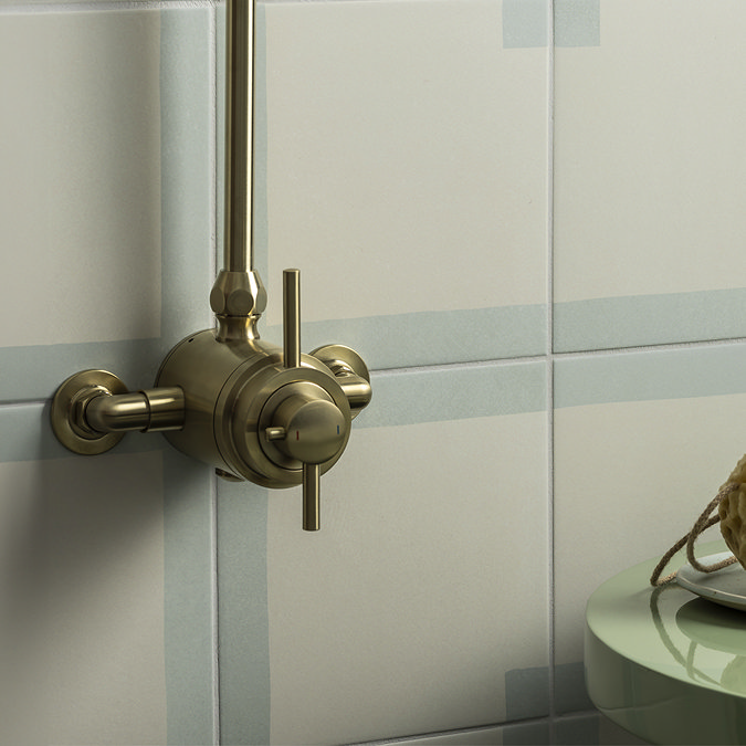 Arezzo Brushed Brass Round Exposed Dual Thermostatic Shower Valve