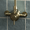 Arezzo Brushed Brass Round Exposed Dual Thermostatic Shower Valve