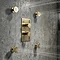 Arezzo Brushed Brass Round Modern Twin Concealed Shower Valve with Diverter  additional Large Image