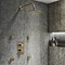 Arezzo Brushed Brass Round Modern Twin Concealed Shower Valve with Diverter  Newest Large Image