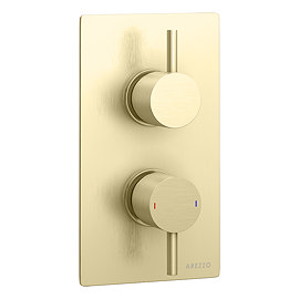 Arezzo Brushed Brass Round Modern Twin Concealed Shower Valve with Diverter