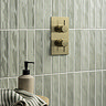 Arezzo Brushed Brass Round Modern Twin Concealed Shower Valve