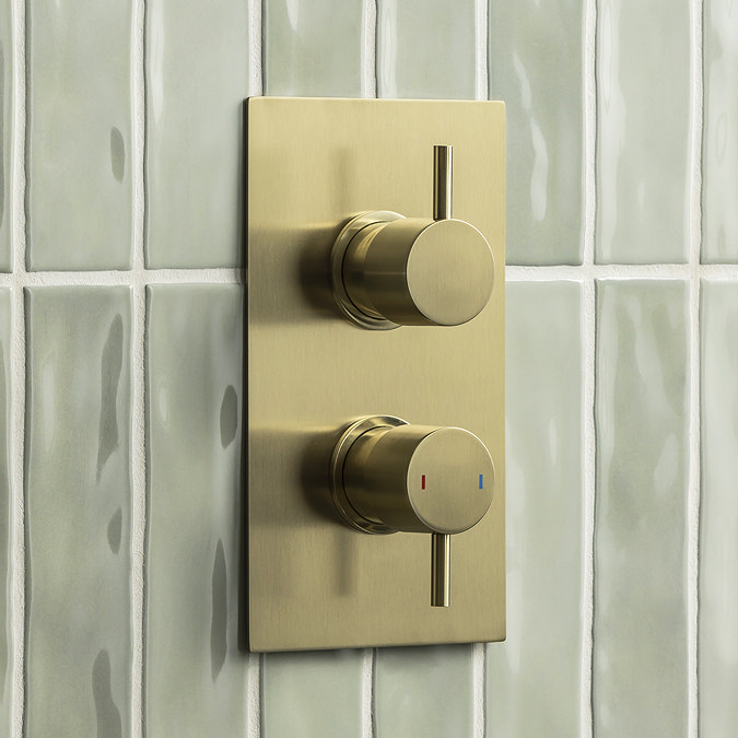 Arezzo Brushed Brass Round Modern Twin Concealed Shower Valve