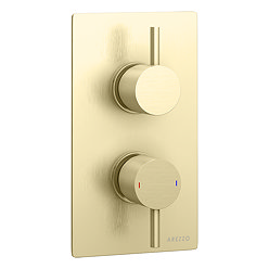 Arezzo Brushed Brass Round Modern Twin Concealed Shower Valve