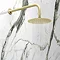 Arezzo Brushed Brass Round Shower System (Fixed Head, Handset + Integrated Parking Bracket) Feature Large Image