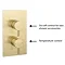 Arezzo Brushed Brass Round Shower System with Diverter, Fixed Shower Head + 4 Body Jets Standard La