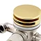 Arezzo Brushed Brass Round Slimline Freeflow Bath Filler Waste and Overflow  Profile Large Image