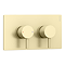 Arezzo Brushed Brass Round Thermostatic Shower Pack with Head + Handset