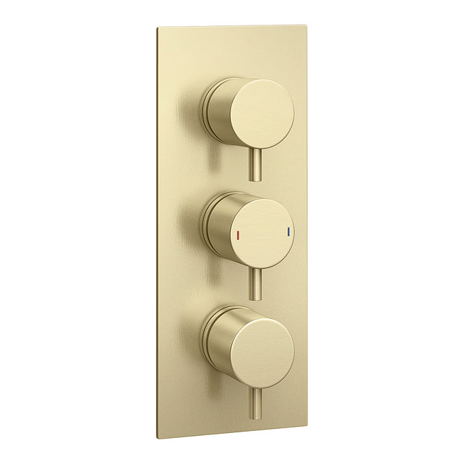Arezzo Brushed Brass Round Thermostatic Shower Pack with Wall Mounted Head + Handset  Standard Large Image