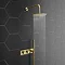 Arezzo Brushed Brass Round Wall Mounted Thermostatic Shower Valve with Handset  Standard Large Image